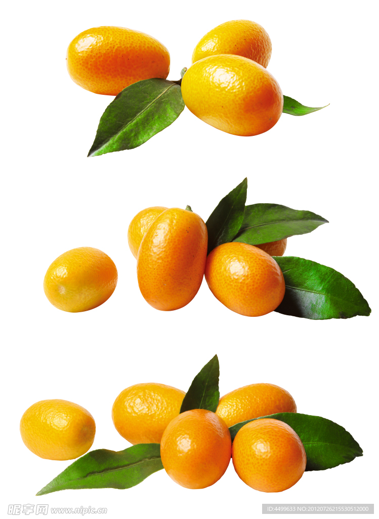 小橘子