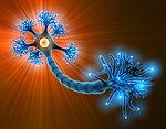 分子结构图