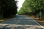 乡村公路