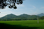 鄂东田野
