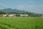 农村新居