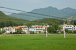 新农村