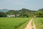 乡间小路