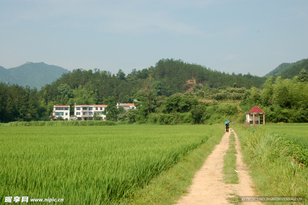 乡间小路