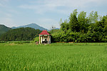 乡村社庙