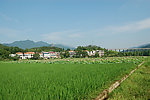 田园风光