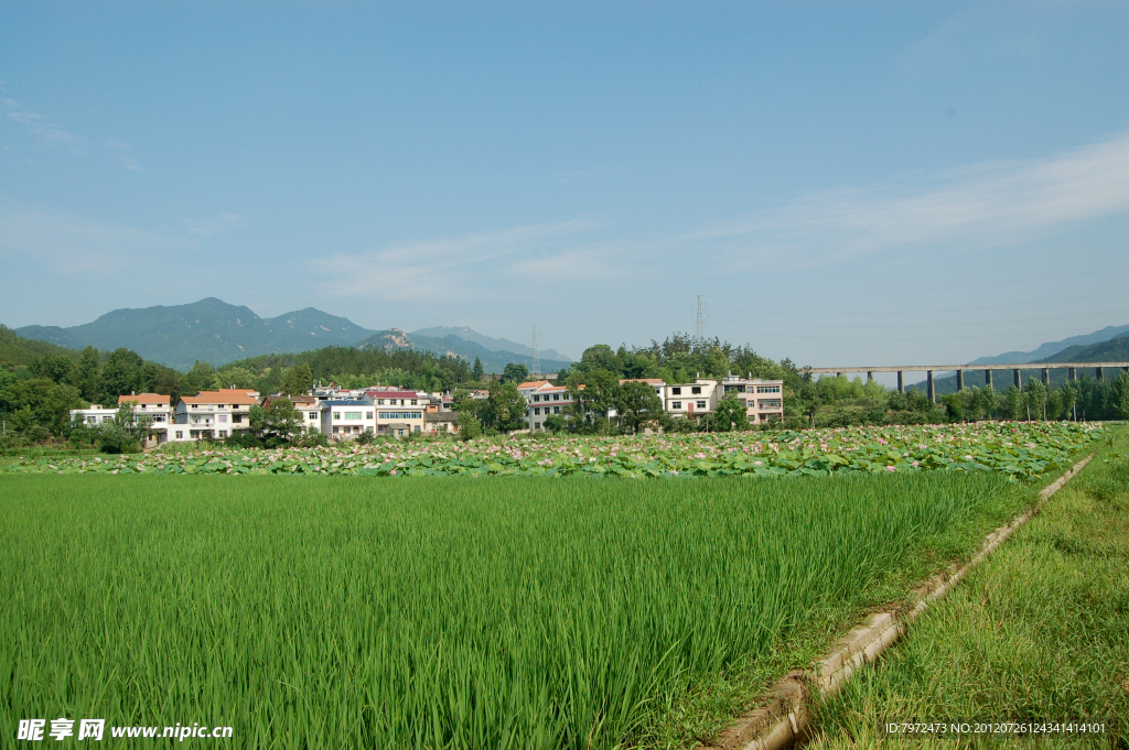 田园风光