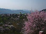 太行山景