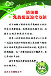 肺结核免费检查治疗政策