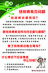 结核病常见问题