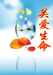 关爱生命