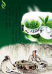 茶叶海报