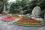 公园花圃