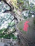 镇海楼