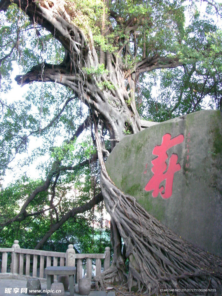 镇海楼
