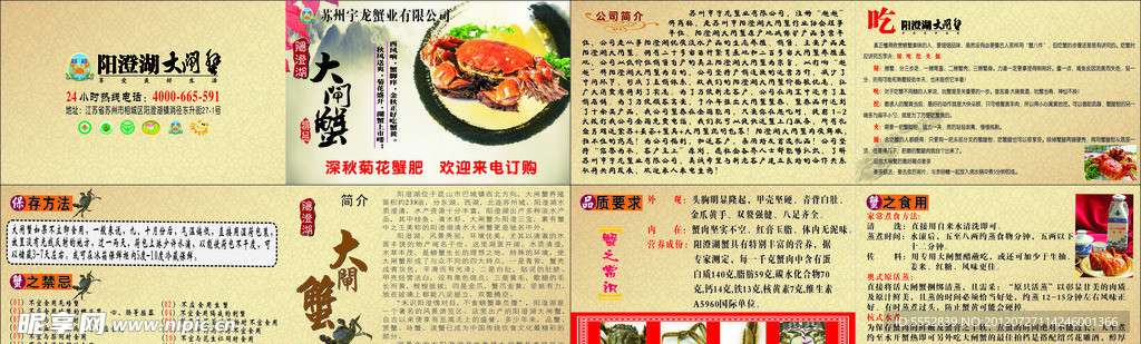 大闸蟹书本宣传册