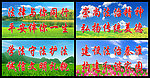 宣传标语展板