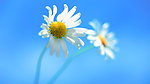 windows 8RTM高清壁纸