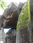 仙公山巨石