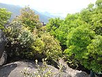 仙公山巨石