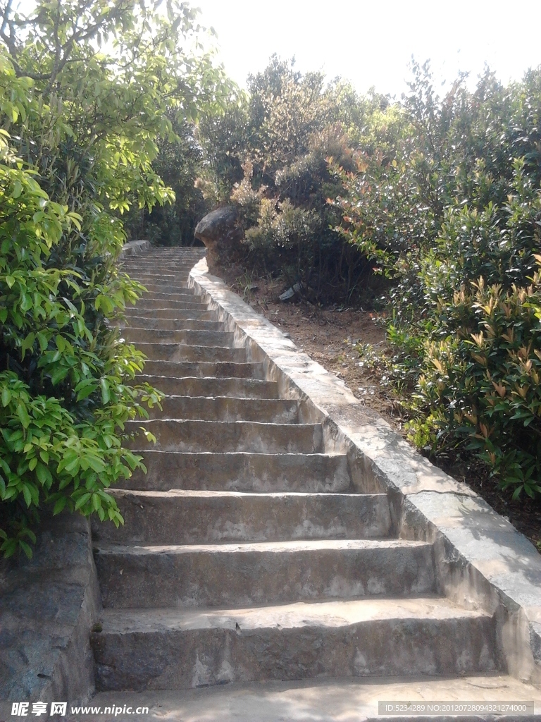 阶梯 丛林小路
