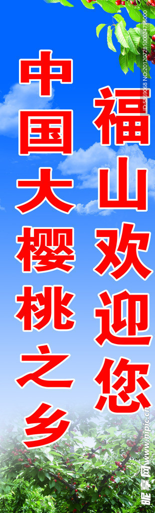 樱桃海报