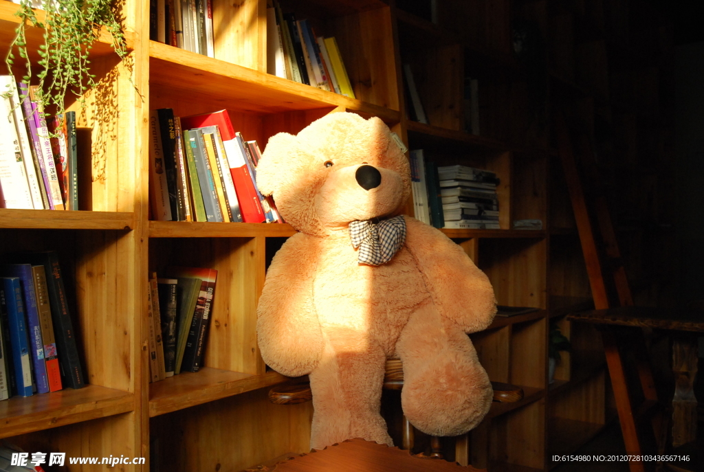 书架和熊