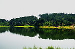 三节岛