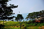 小路 飞鹤