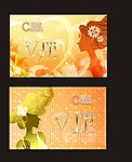 会员卡 VIP 贵宾卡 名片