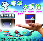 海洋水族馆宣传广告
