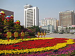 双庆