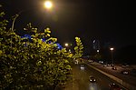 夜里路上