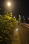 夜里路上