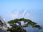 华山