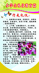 小学生礼仪教育篇