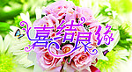 婚庆海报
