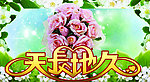 婚庆海报