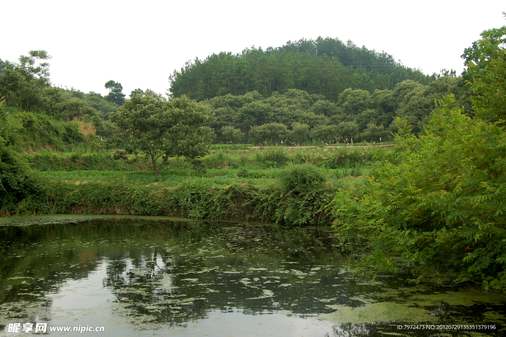 田畈