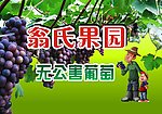 果园广告牌