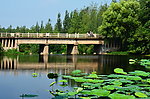 园林景观