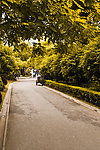 上海鲁迅公园景致