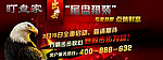 网站 banner图