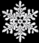 高清晰雪花笔刷（含PNG及AI文件）