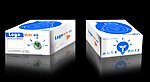 LED灯 纸盒包装设计 (展开图)