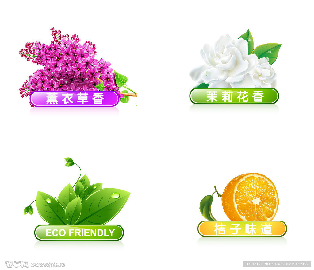 薰衣草茉莉花桔子草露珠矢量图