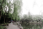 鲁迅公园景致