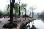 鲁迅公园景致
