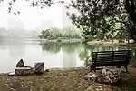 鲁迅公园湖景