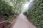 鲁迅公园林荫道